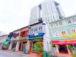 Duxton Road (D2), Shop House #580591251